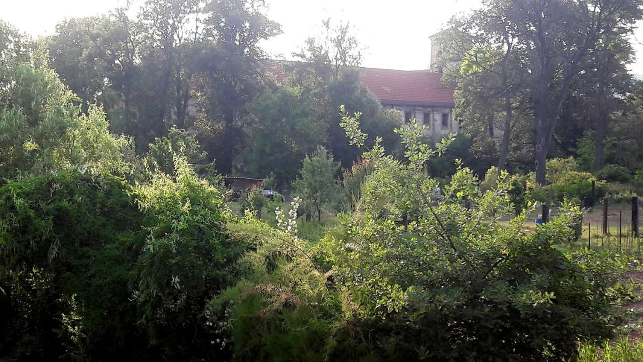 Pivovar Spitt Zahorany Pension Litoměřice Buitenkant foto