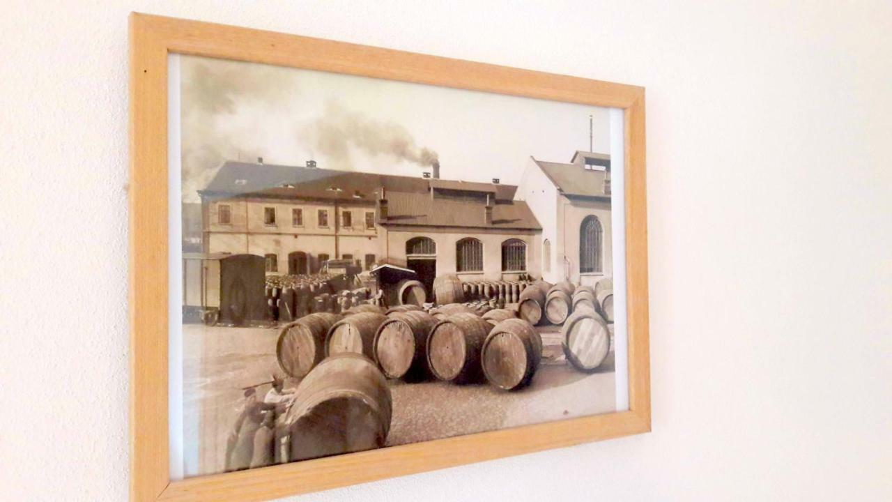 Pivovar Spitt Zahorany Pension Litoměřice Buitenkant foto